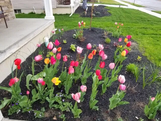 Top-rated garden landscaping in Clifton Park, NY by Hewitt's Garden Centers - Clifton Park