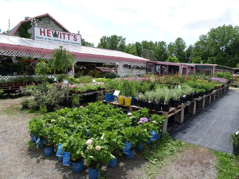 Professional yard cleanup service experts serving Clifton Park, NY - Hewitt's Garden Centers - Clifton Park
