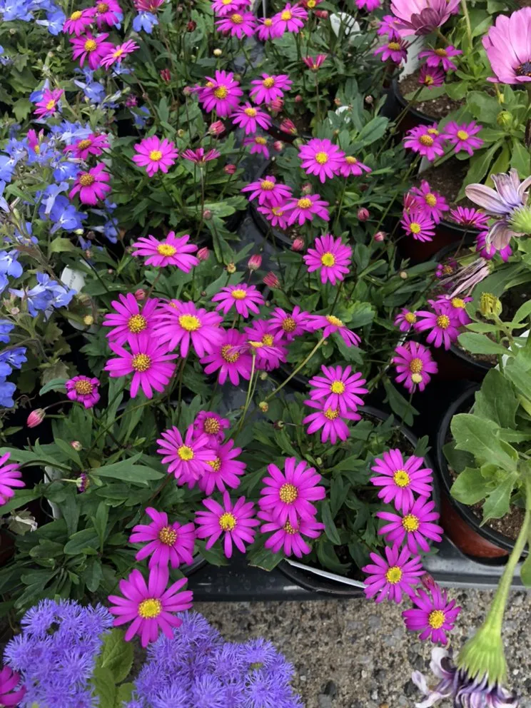 Expert outdoor landscaping near you in Clifton Park, NY by Hewitt's Garden Centers - Clifton Park