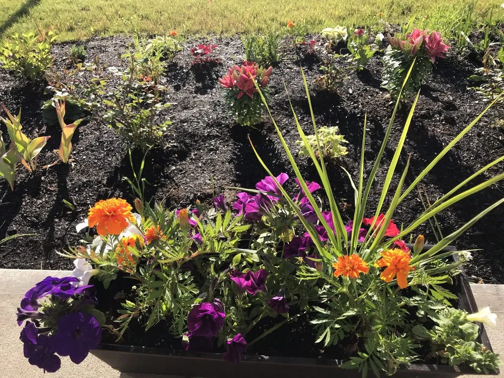 Reliable yard cleanup service experts serving Clifton Park, NY - Hewitt's Garden Centers - Clifton Park