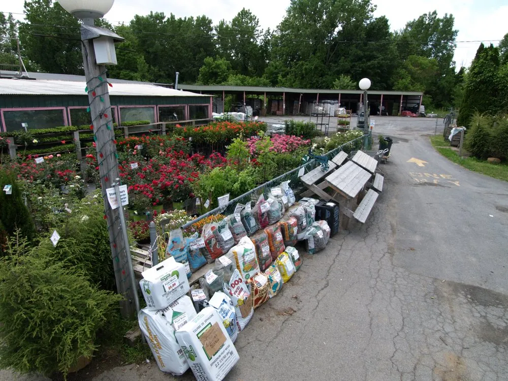 Trusted landscape design near you in Clifton Park, NY by Hewitt's Garden Centers - Clifton Park