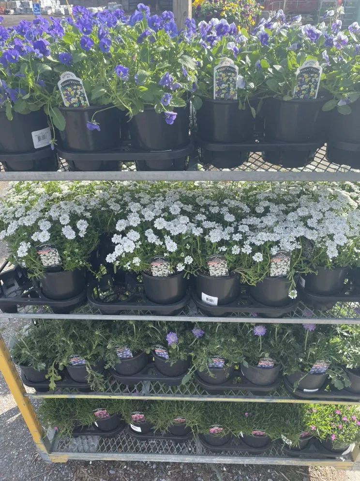 Top-rated landscaping services in Clifton Park, NY - Hewitt's Garden Centers - Clifton Park