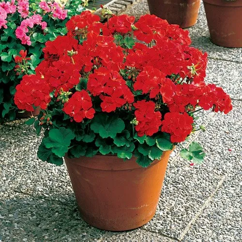 Trusted landscape installation for homes in Clifton Park, NY by Hewitt's Garden Centers - Clifton Park