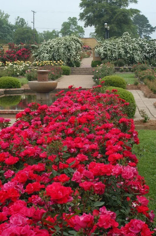 Local lawn mowing service experts serving Clifton Park, NY - Hewitt's Garden Centers - Clifton Park