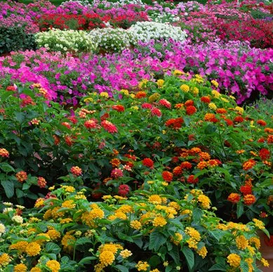 Professional garden landscaping in Clifton Park, NY - Hewitt's Garden Centers - Clifton Park