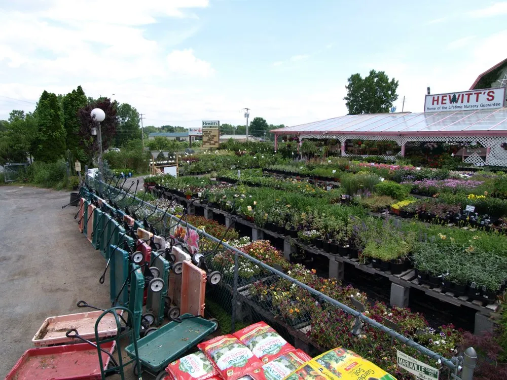 Reliable garden landscaping experts serving Clifton Park, NY - Hewitt's Garden Centers - Clifton Park
