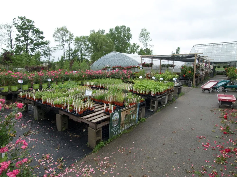 Local lawn mowing service in Glenmont, NY by Hewitt's Garden Centers - Glenmont