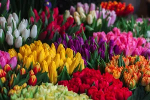 Affordable garden landscaping in Glenmont, NY by Hewitt's Garden Centers - Glenmont