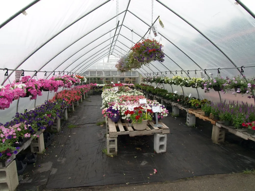Professional landscaping services for outdoor upgrades across Glenmont, NY - Hewitt's Garden Centers - Glenmont