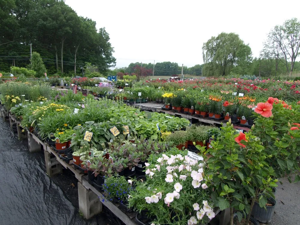 Affordable landscaping services in Glenmont, NY - Hewitt's Garden Centers - Glenmont