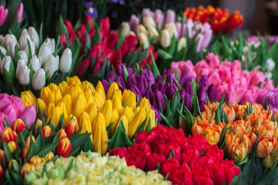 Affordable landscape installation experts serving Glenmont, NY - Hewitt's Garden Centers - Glenmont