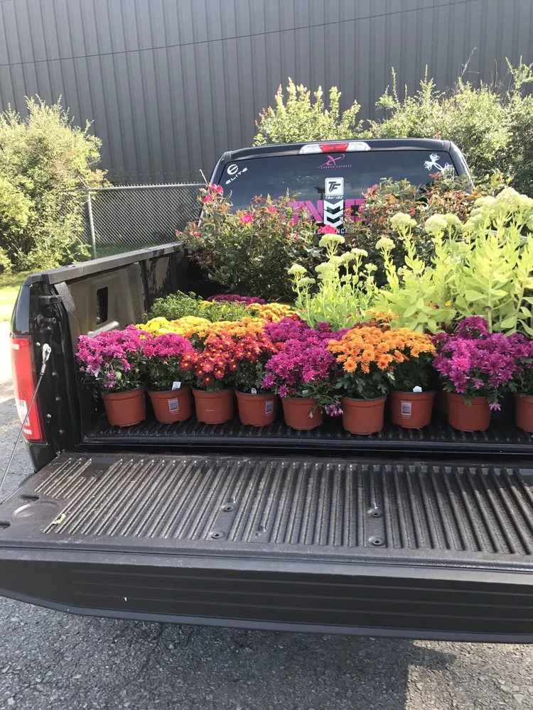 Reliable lawn mowing service experts serving Saratoga Springs, NY - Hewitt's Garden Centers - Wilton