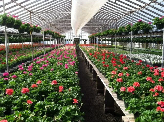 Reliable outdoor landscaping experts serving Saratoga Springs, NY - Hewitt's Garden Centers - Wilton