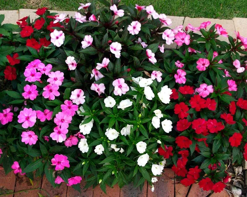 Professional lawn care service in Saratoga Springs, NY by Hewitt's Garden Centers - Wilton