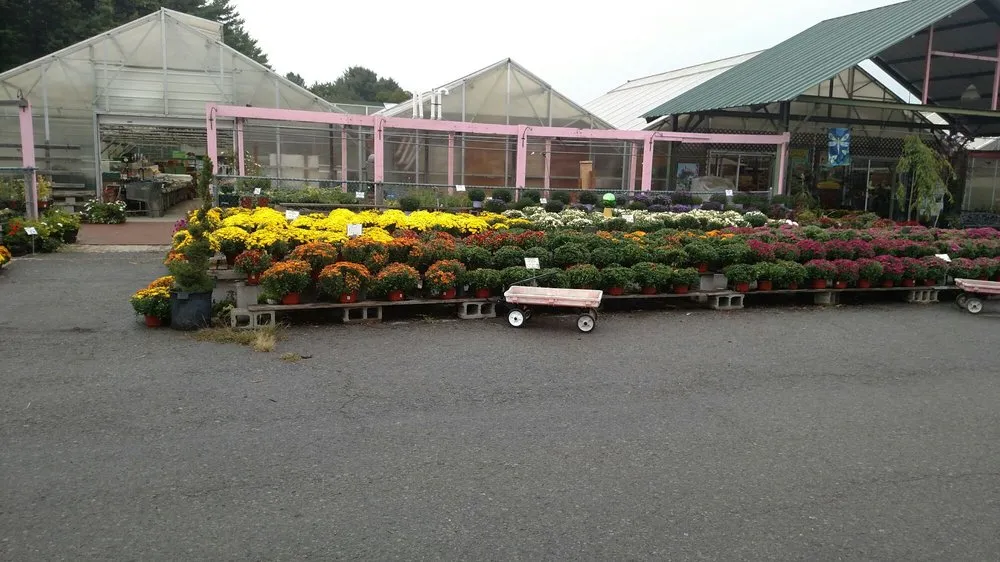Expert yard cleanup service in Saratoga Springs, NY by Hewitt's Garden Centers - Wilton