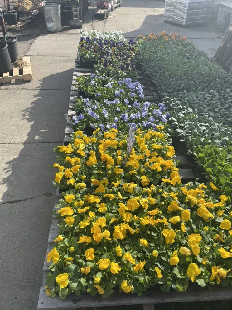 Top-rated garden landscaping for beautiful yards across Saratoga Springs, NY - Hewitt's Garden Centers - Wilton