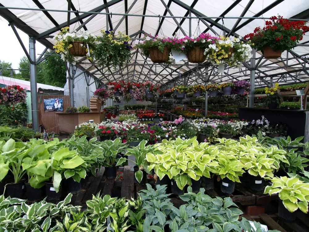 Affordable lawn mowing service in Glenville, NY - Hewitt's Garden Centers