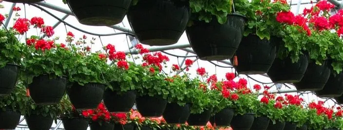 Custom garden landscaping for year-round maintenance across Glenville, NY - Hewitt's Garden Centers