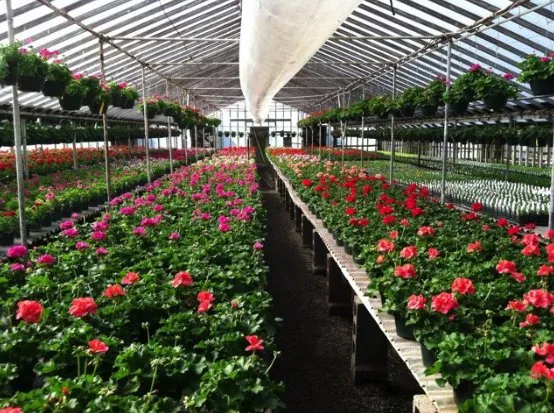 Affordable residential landscaping experts serving Glenville, NY - Hewitt's Garden Centers