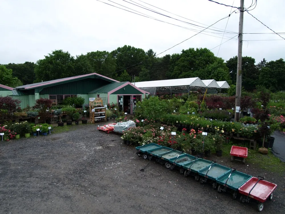 Custom landscape design experts serving Glenville, NY - Hewitt's Garden Centers