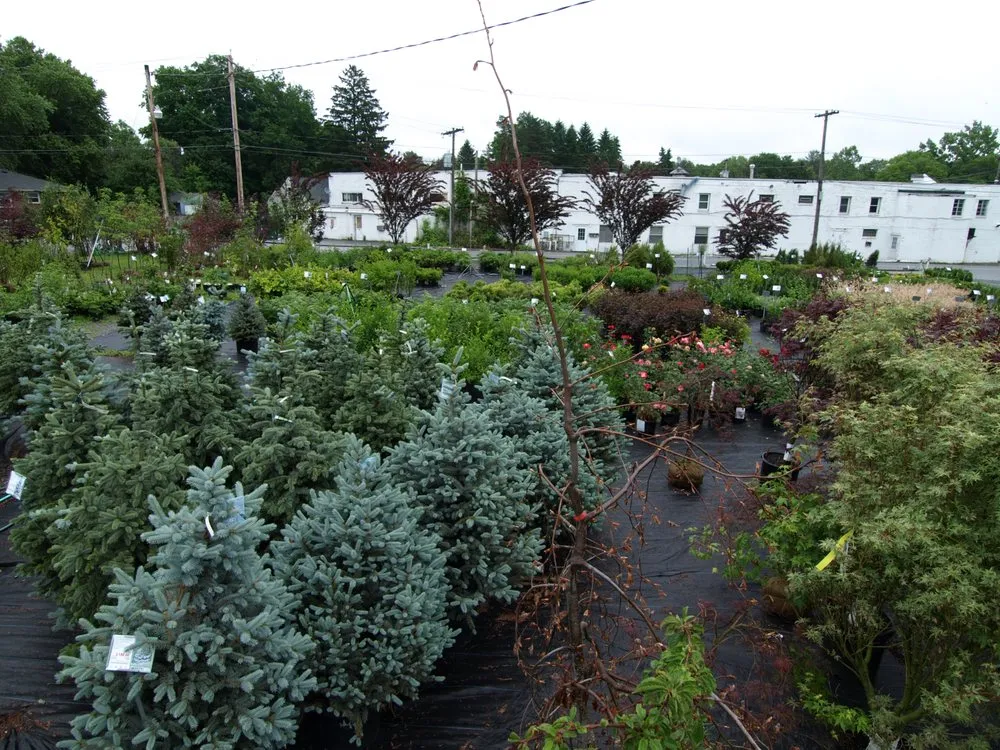 Custom yard maintenance experts serving Glenville, NY - Hewitt's Garden Centers