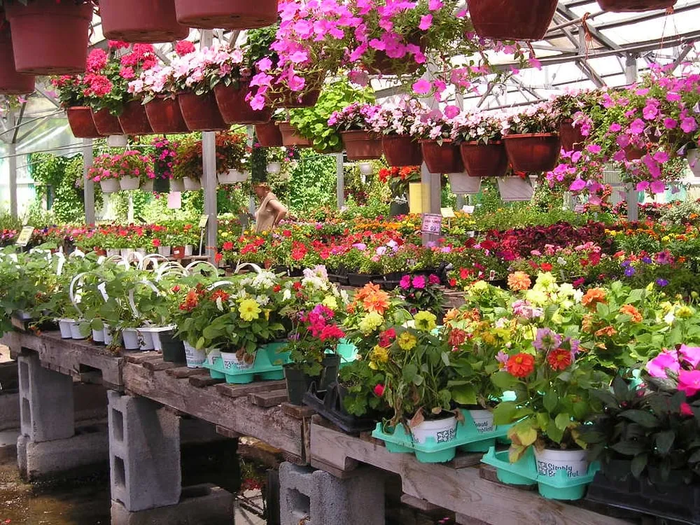 Local garden landscaping in Glenville, NY - Hewitt's Garden Centers