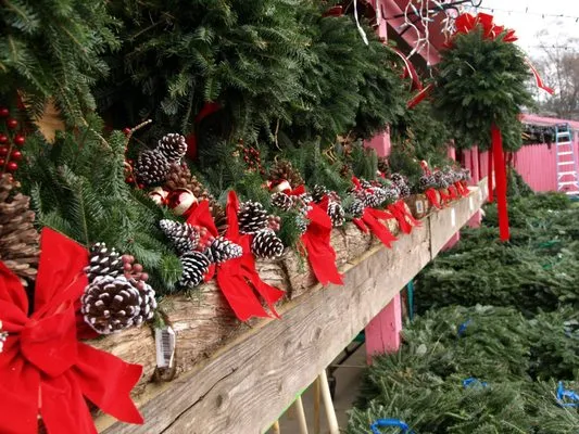 Hewitt's Garden Centers