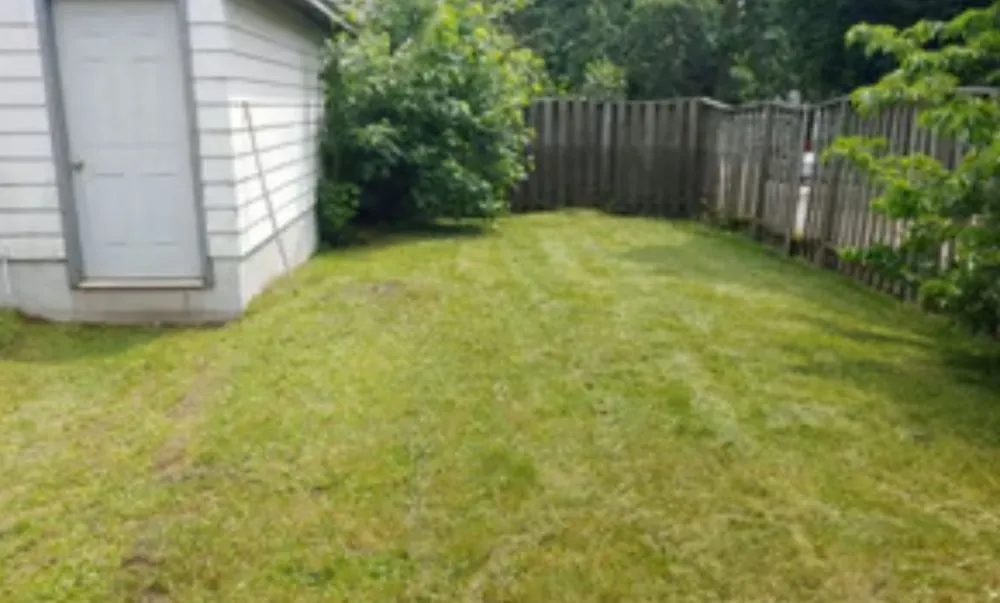 Trusted lawn care service in Columbus, GA - Hewitt's Lawn Care