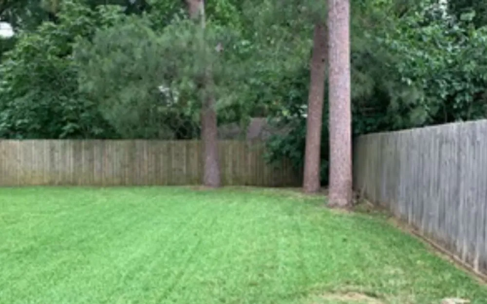 Trusted yard cleanup service experts serving Columbus, GA - Hewitt's Lawn Care