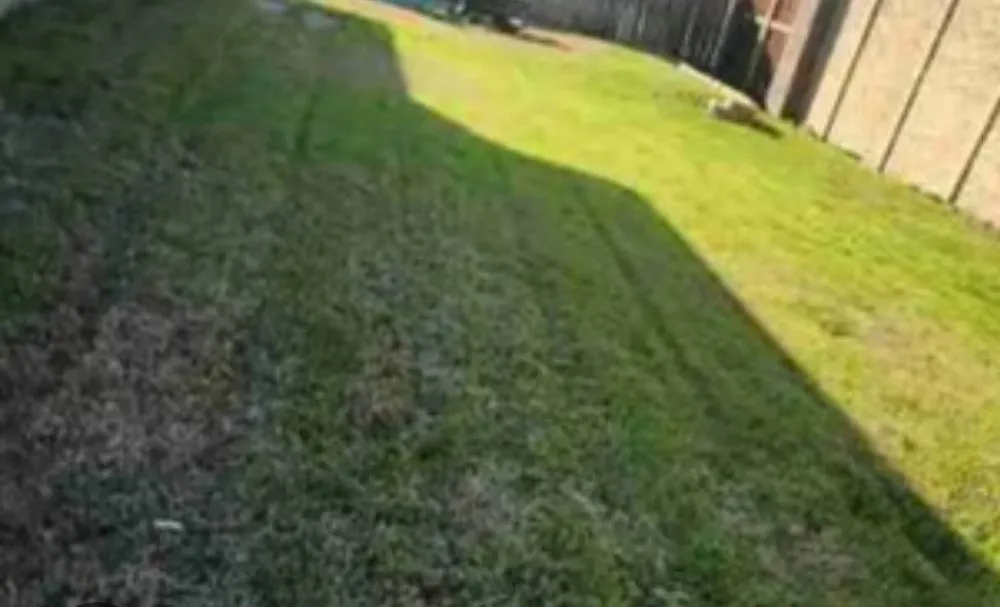 Reliable residential landscaping with custom design across Columbus, GA - Hewitt's Lawn Care