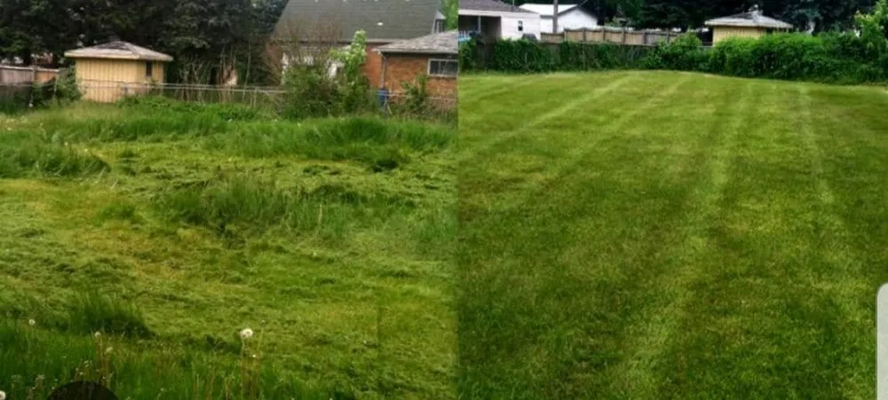 Local yard maintenance experts serving Columbus, GA - Hewitt's Lawn Care