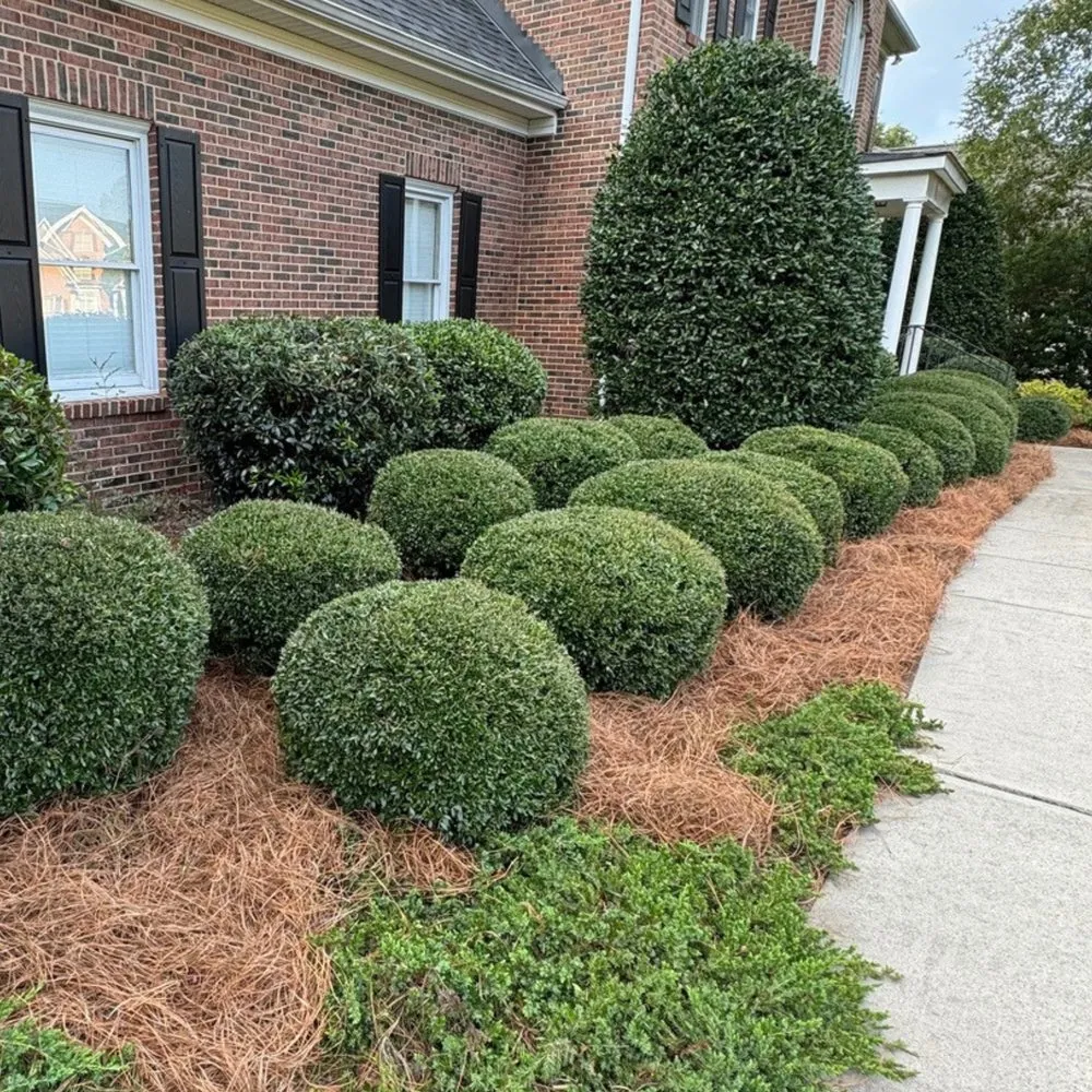 Reliable lawn care service for year-round maintenance across Rock Hill, SC - Hey Jude's Lawn Care