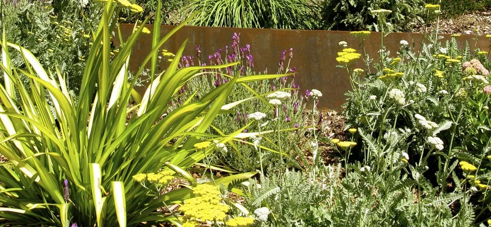 Local landscape design in Oakland, CA - Hey Nice Garden