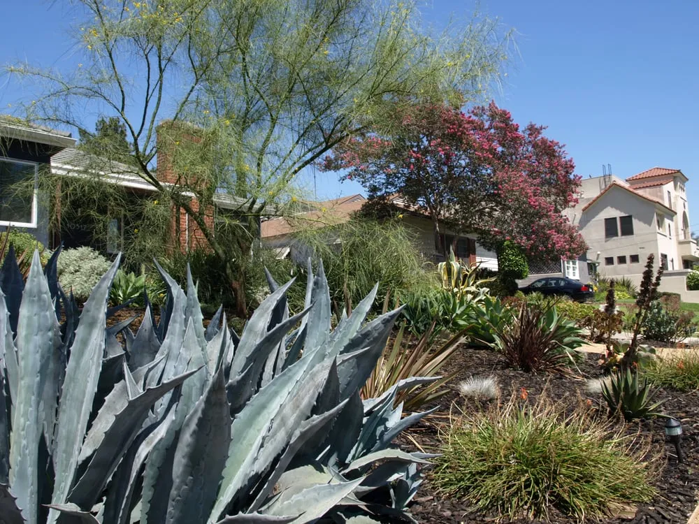 Expert residential landscaping experts serving Oakland, CA - Hey Nice Garden