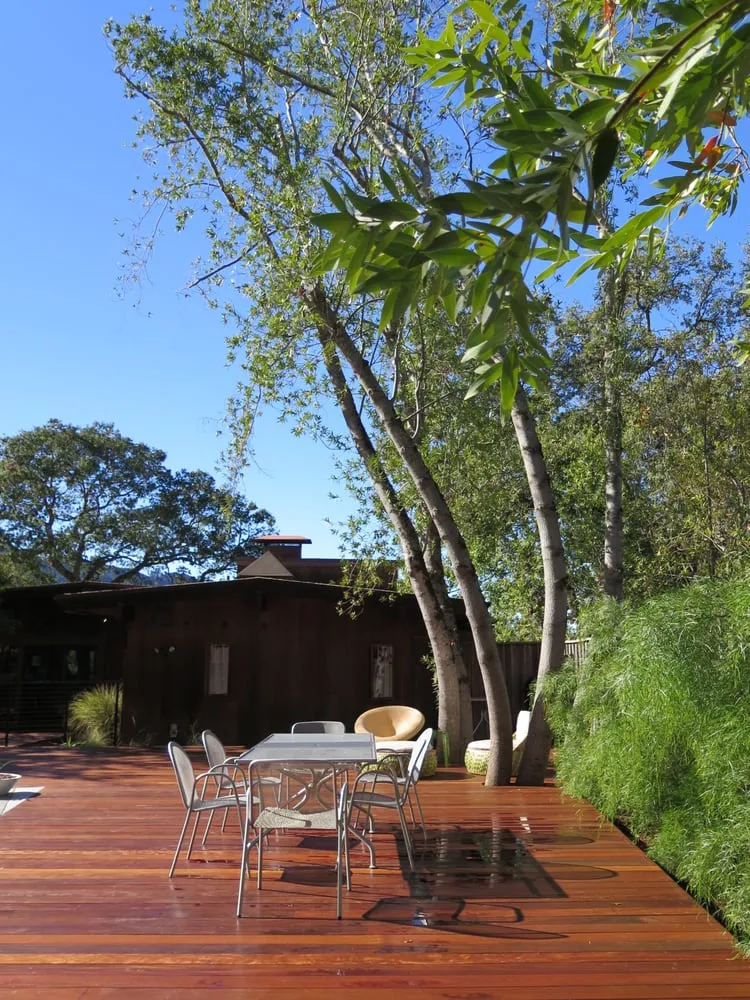 Affordable yard maintenance experts serving Oakland, CA - Hey Nice Garden