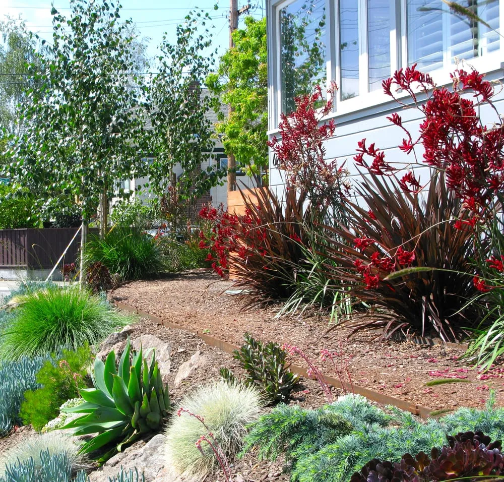Reliable outdoor landscaping in Oakland, CA - Hey Nice Garden