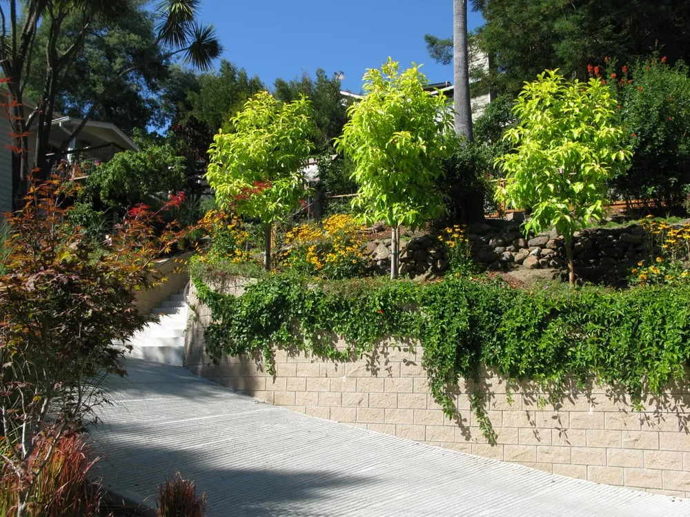 Top-rated lawn mowing service for outdoor upgrades in Oakland, CA by Hey Nice Garden