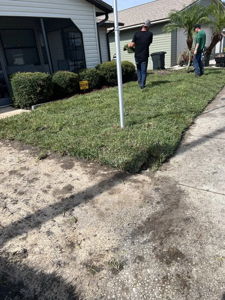 Expert lawn care service for beautiful yards in Lakeland, FL by Hey Nice Lawn Landscape & Design
