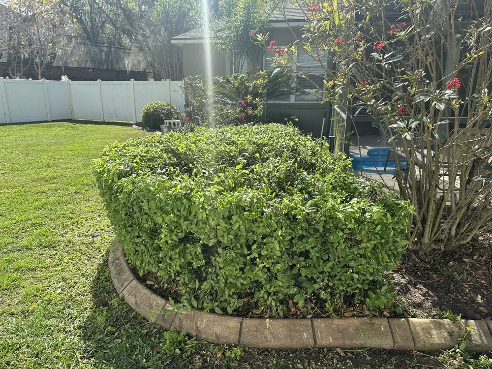 Professional lawn care service experts serving Lakeland, FL - Hey Nice Lawn Landscape & Design