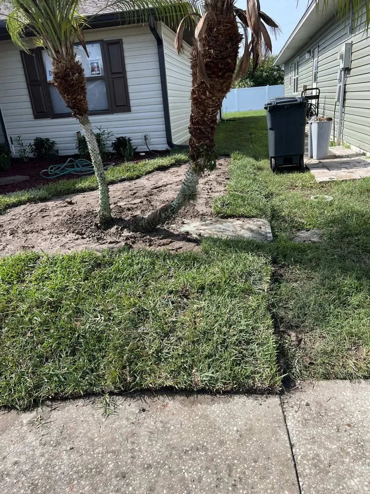 Top-rated outdoor landscaping in Lakeland, FL by Hey Nice Lawn Landscape & Design