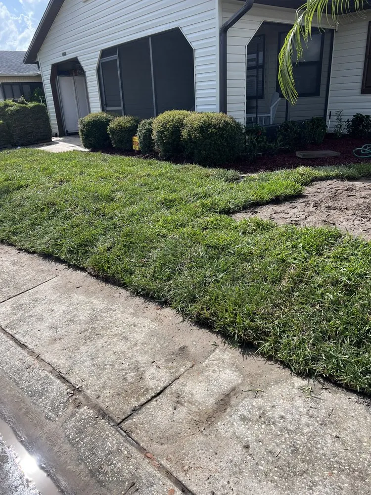 Local landscape installation in Lakeland, FL - Hey Nice Lawn Landscape & Design