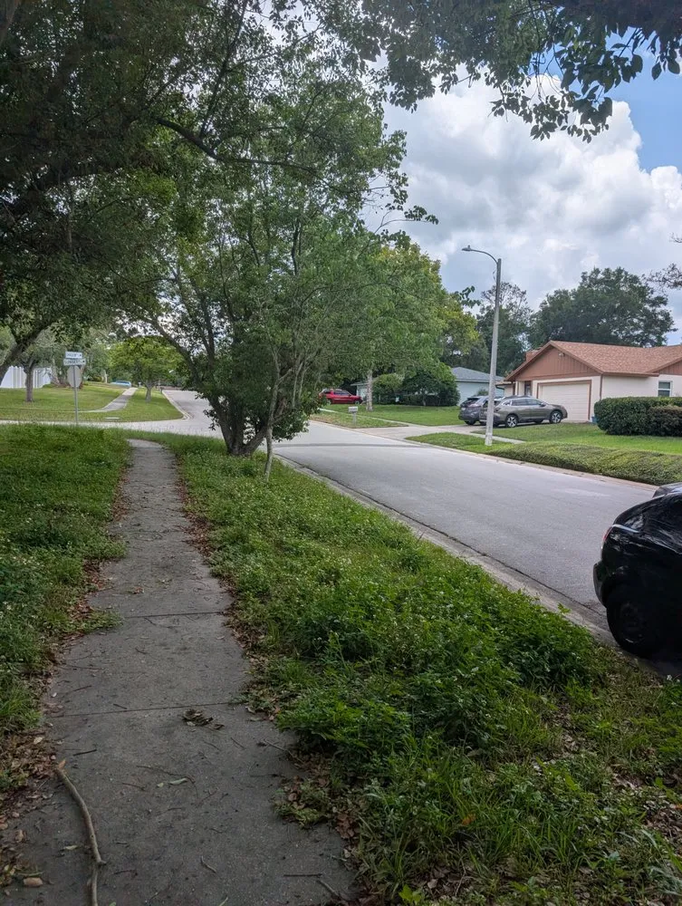 Reliable garden landscaping experts serving Altamonte Springs, FL - Heyner Lawn Maintenance