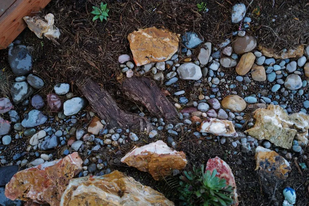 Expert landscaping services in Long Beach, CA by Heyvern Landscapes