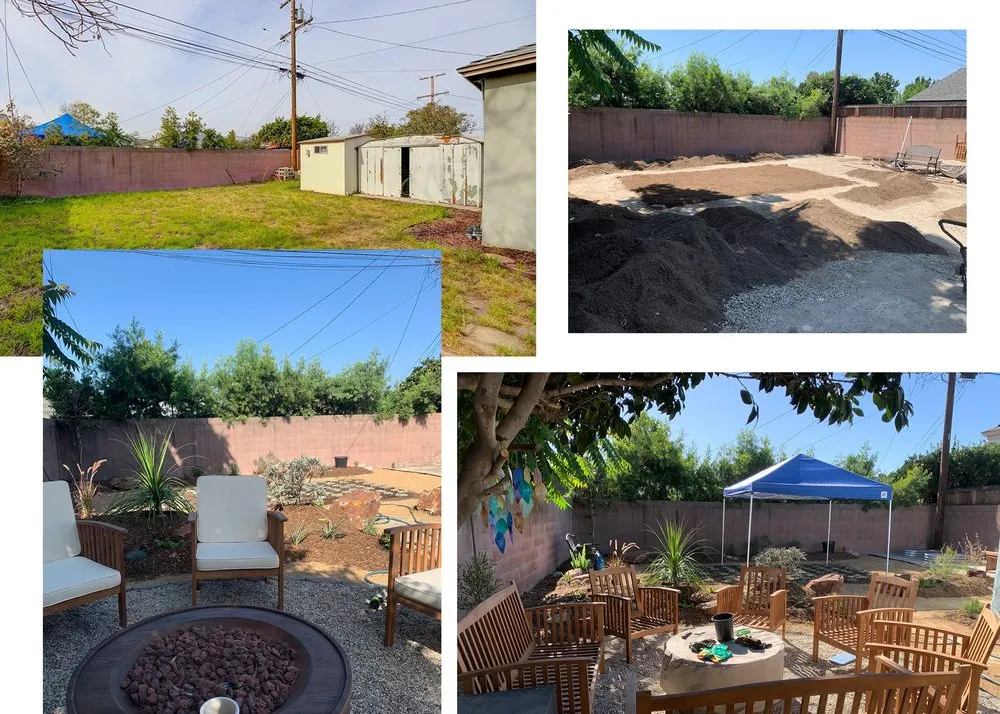 Expert yard cleanup service in Long Beach, CA - Heyvern Landscapes