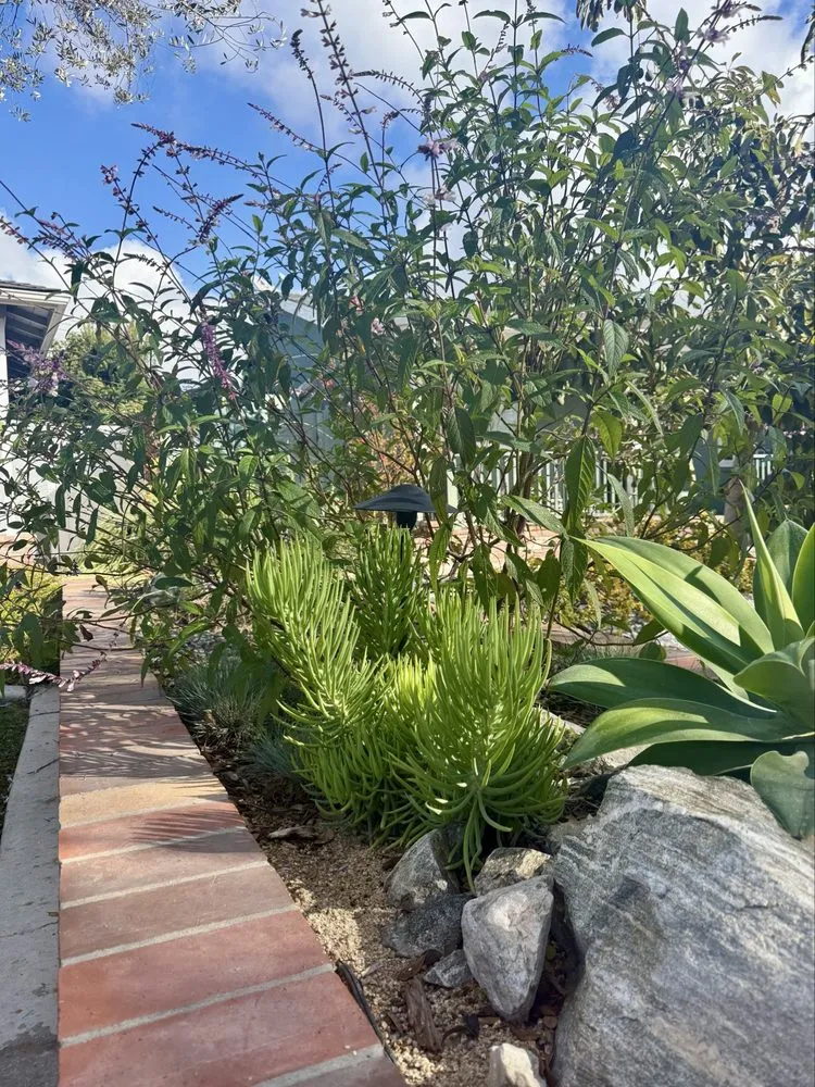 Affordable outdoor landscaping in Long Beach, CA by Heyvern Landscapes