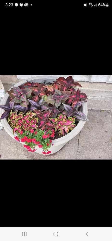 Professional outdoor landscaping in Coffeyville, KS by Heyyyy Buddddy Services