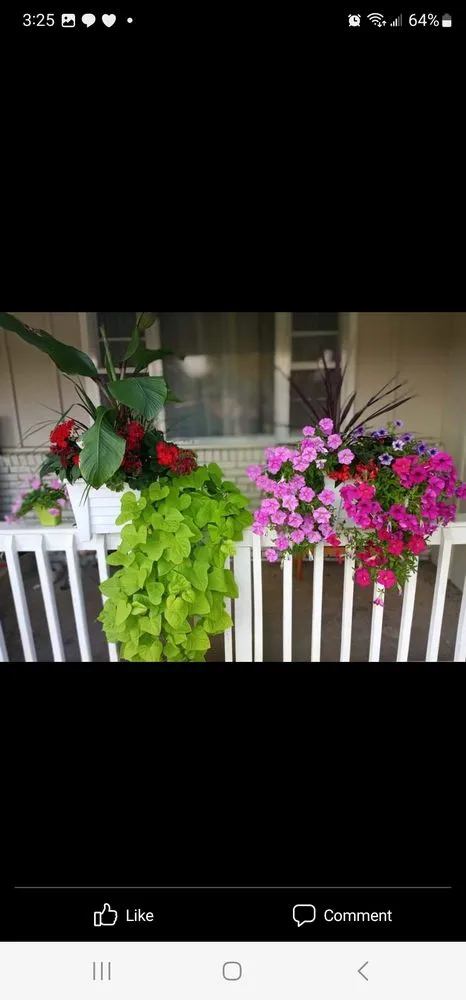 Affordable landscaping services in Coffeyville, KS - Heyyyy Buddddy Services