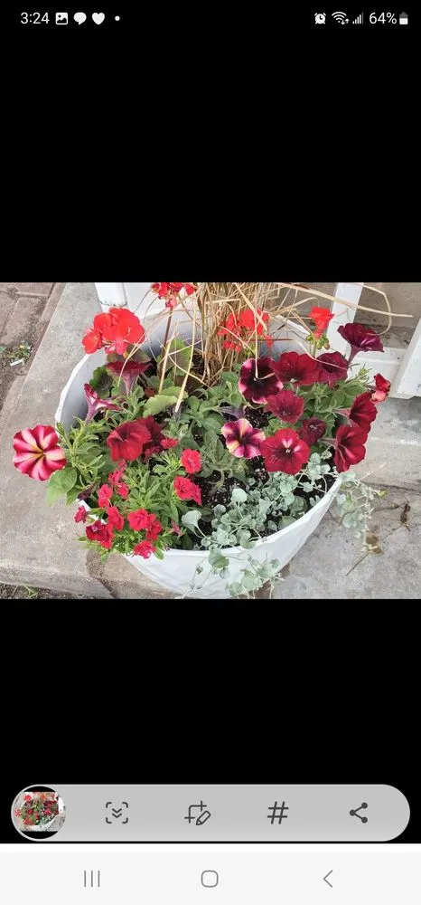 Professional outdoor landscaping near you in Coffeyville, KS by Heyyyy Buddddy Services