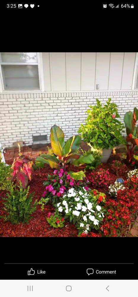 Expert lawn care service in Coffeyville, KS - Heyyyy Buddddy Services