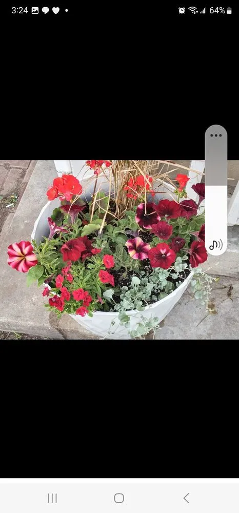 Local lawn mowing service with custom design in Coffeyville, KS by Heyyyy Buddddy Services